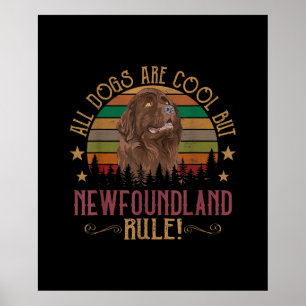 Funny Dogs Are Cool But Newfoundland Rule Poster