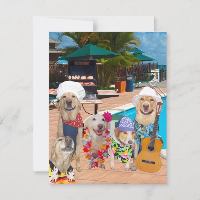 Funny Dogs Customisable Pool Party/BBQ Invitation (Front)