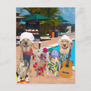 Funny Dogs Customisable Pool Party/BBQ Invitation