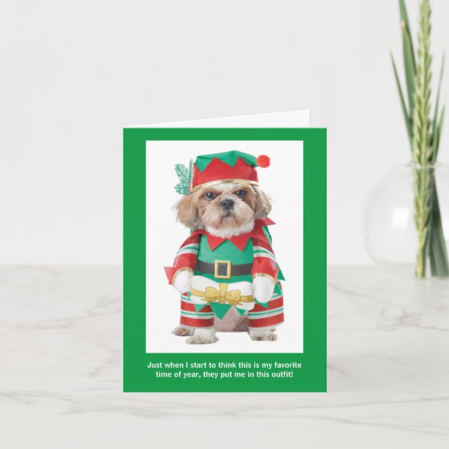 Funny Dog's Favourite Time of Year Chritmas Card (Front)
