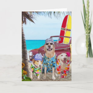 Funny Dogs Hawaiian/Surfer Birthday Card