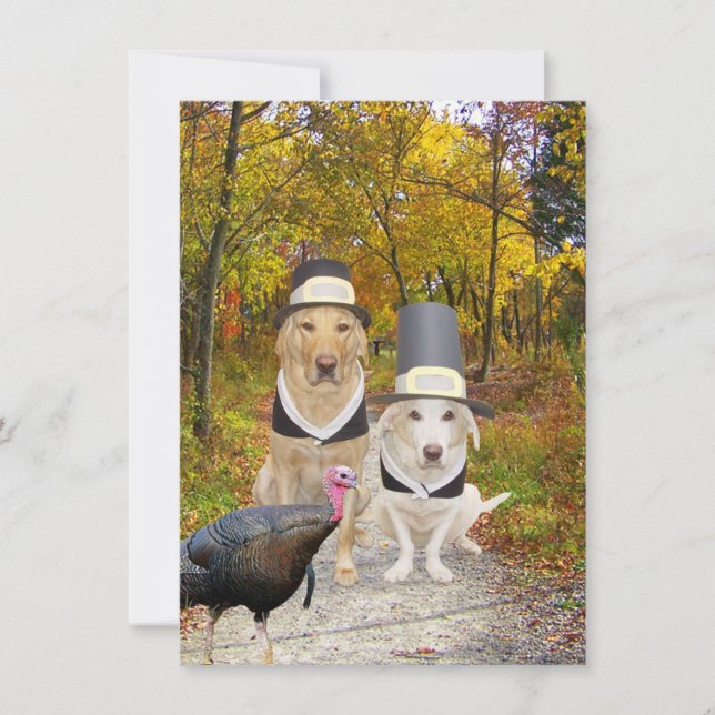 Funny Dogs/Labs Thanksgiving Invitation (Front)