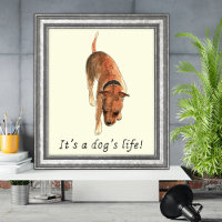 Funny Dogs life Staffordshire Bull Terrier Art