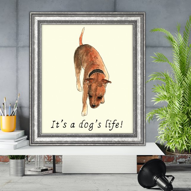 Funny Dogs life Staffordshire Bull Terrier Art Poster (Its a dogs life quote and watercolor Staffordshire bull terrier poster)
