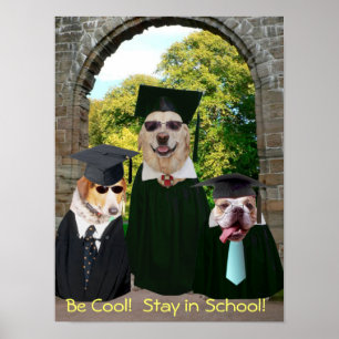 Funny Dogs Stay in School Poster