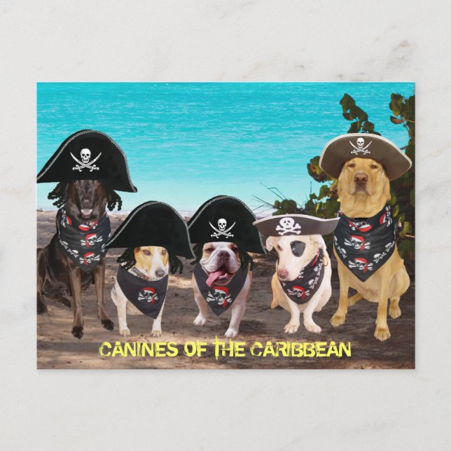 Funny Dogs Talk Like a Pirate Day Postcards (Front)