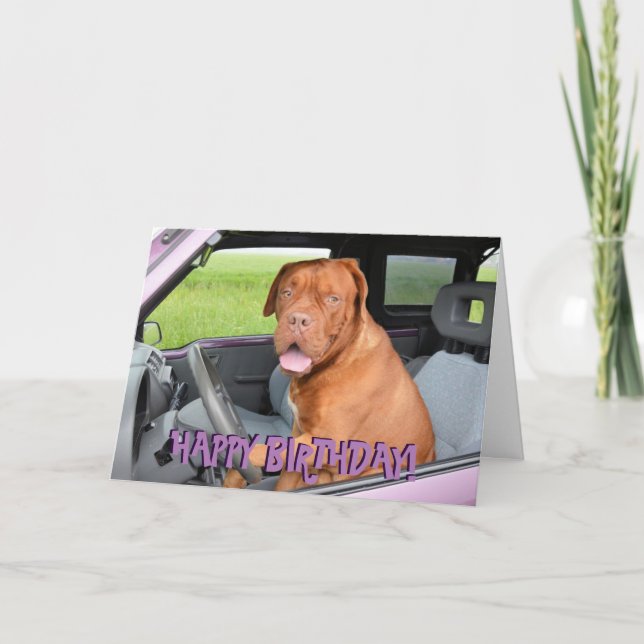 Funny dogue de bordeaux birthday card (Front)