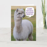 Funny Dolly Llama Birthday Wisdom Card<br><div class="desc">This Dolly Llama has her own philosophy on life and words of wisdom she wants to share with the world. Not only is she smart,  she's cute too. Fun birthday card for anyone that's not excited about getting older.</div>