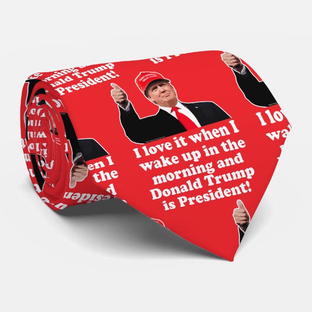 Funny Donald Trump I Love it 47th President Tie (Rolled)