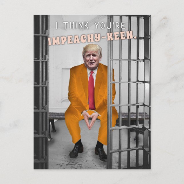 Funny Donald Trump Impeachment Prison Humour Holiday Postcard (Front)
