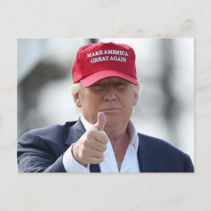 Funny Donald Trump Post Card