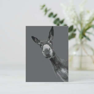 Funny Donkey Grayscale Portrait Art Postcard