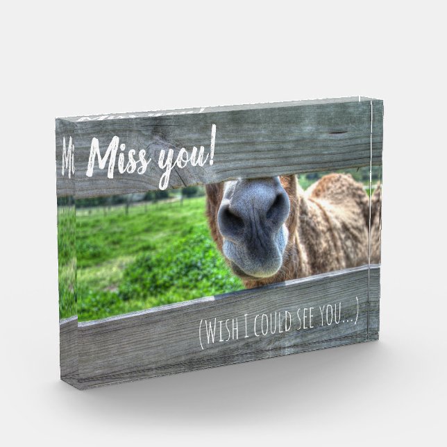 Funny Donkey Miss You Wish I Could See You Photo Block (Left)