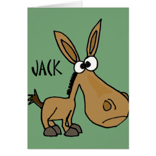 Funny Donkey named Jack