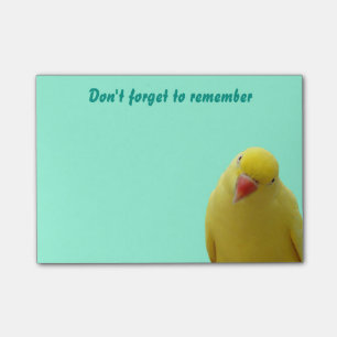 Funny "Don't Forget" Bird Sticky Notes
