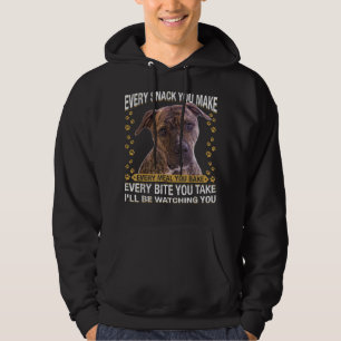 Funny Don't Judge My Pitbull And I Won't Judge You Hoodie