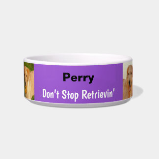 Funny Don't Stop Retrievin' Purple Dog Bowl