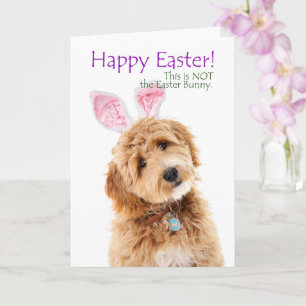 Funny Doodle Dog Easter Card