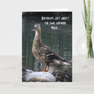 Funny Duck Birthday Card