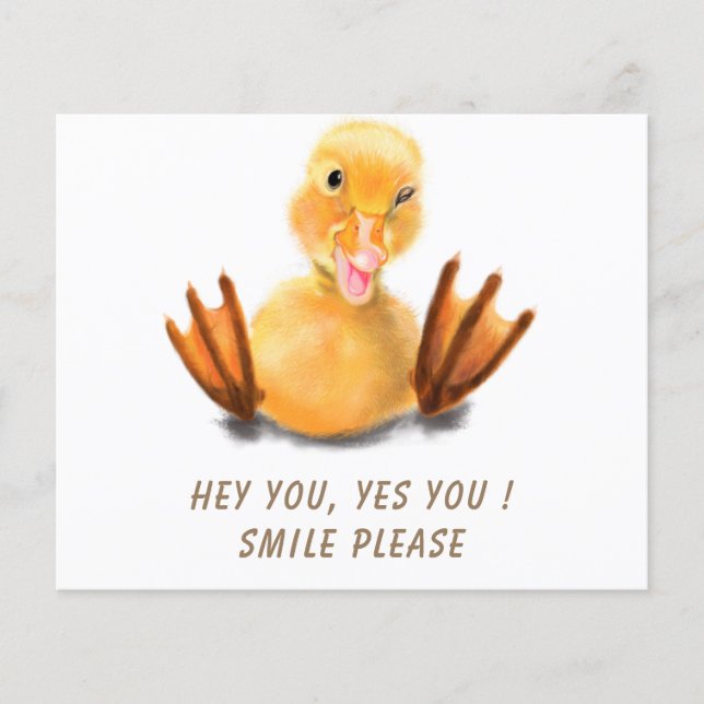 Funny Duck Flyers (Front)