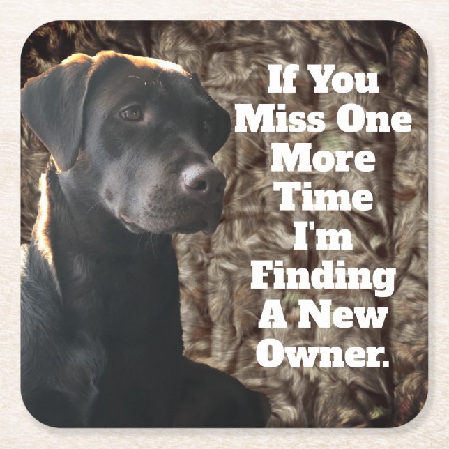 Funny Duck Hunting Chocolate Lab Camo Coaster (Front)