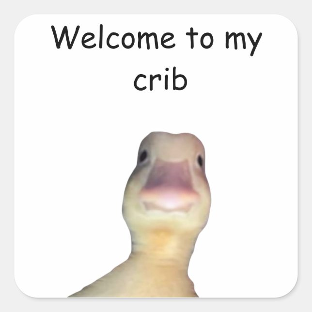 Funny Duck Meme – “Welcome to My Crib” Cute Animal Square Sticker (Front)