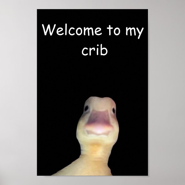Funny Duck Meme: Welcome to My Crib Duck Poster (Front)