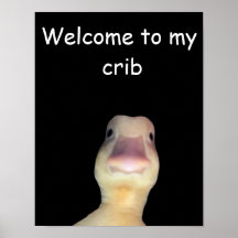 Funny Duck Meme: Welcome to My Crib Duck