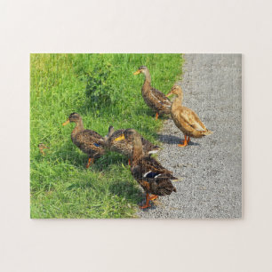 Funny Ducks Jigsaw Puzzle