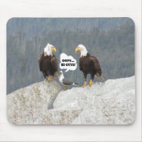 Funny Eagles and Seagull