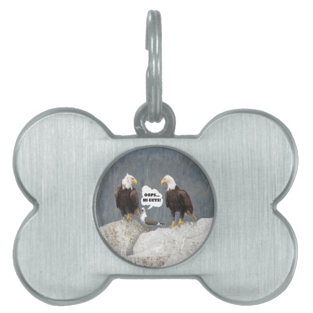 Funny Eagles and Seagull Pet Tag (Front)