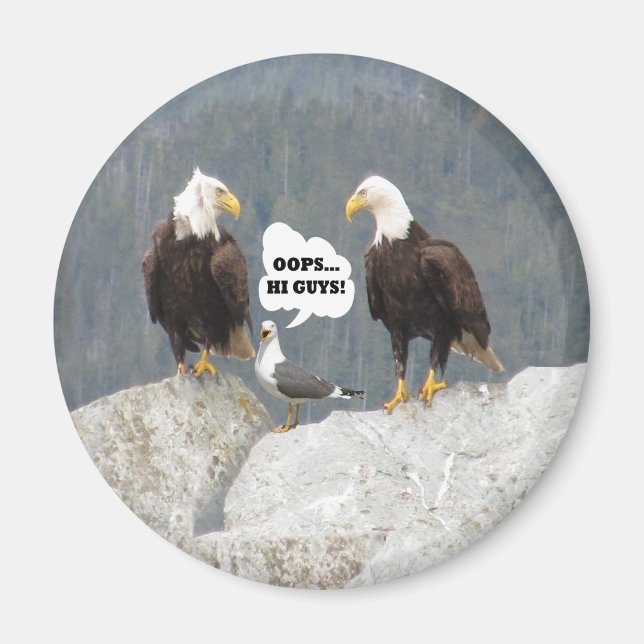 Funny Eagles and Seagull Round Magnet (Front)