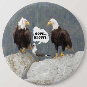 Funny Eagles and Seagull Round Pin-Back Button