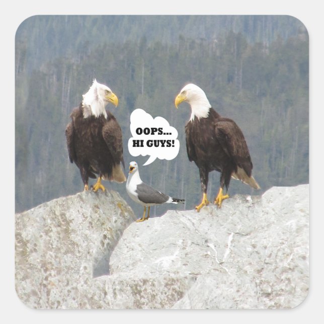Funny Eagles and Seagull Square Sticker (Front)