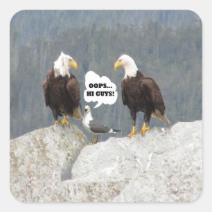 Funny Eagles and Seagull Square Sticker