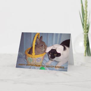 FUNNY EASTER CARD