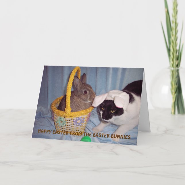 FUNNY EASTER CARD (Front)