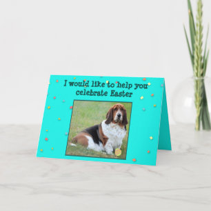 Funny Easter Card w/Basset Hound, Basket, & Candy
