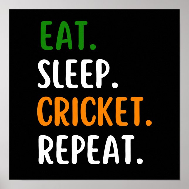 Funny Eat Sleep Cricket Repeat Poster (Front)