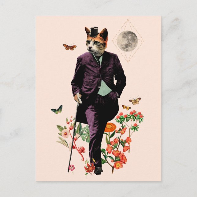 Funny Elegant Cat Postcard (Front)