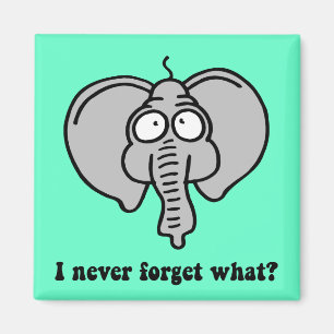 Funny elephant magnet