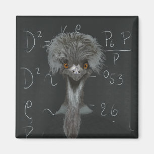 Funny Emu Einstein Magnet