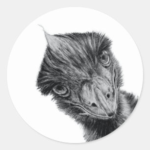 Funny Emu Face Sticker Black and White Bird Art