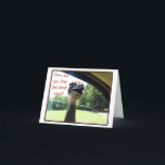 Funny Emu Latest News Gossip Card<br><div class="desc">We know you'd never gossip, but there's nothing wrong with sending the latest news about yourself... right? Our "Funny Emu Latest News Gossip Card" will bring a smile to anyone you send it to. The inside is blank so that you can put whatever verse you want now using our fonts,...</div>