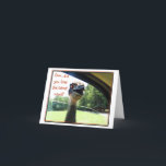 Funny Emu Latest News Gossip Card<br><div class="desc">We know you'd never gossip, but there's nothing wrong with sending the latest news about yourself... right? Our "Funny Emu Latest News Gossip Card" will bring a smile to anyone you send it to. The inside is blank so that you can put whatever verse you want now using our fonts,...</div>