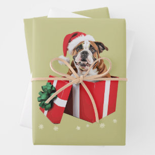 Funny English Bulldog Dog Tree Christmas Lights Wrapping Paper Sheet