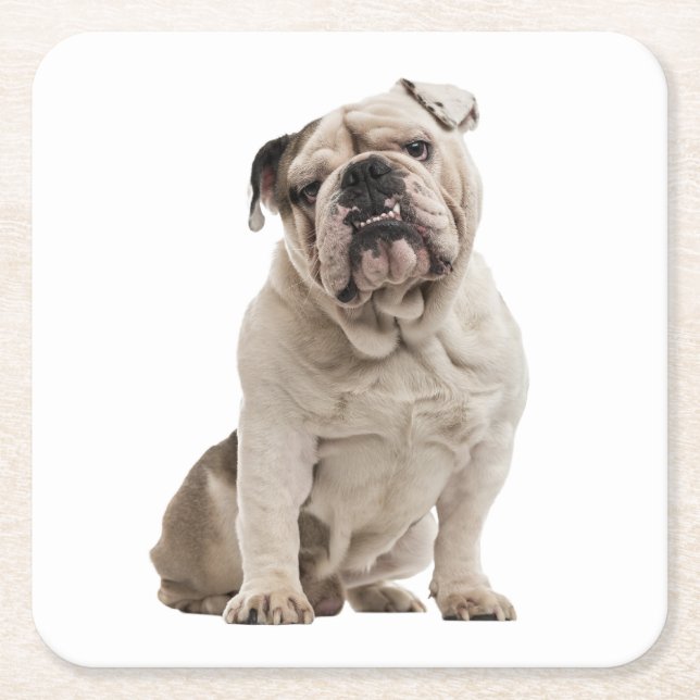 Funny English Bulldog Gifts Puppy Dog Lover Square Paper Coaster (Front)