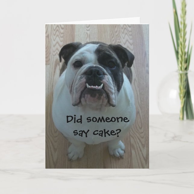 Funny English bulldog Happy Birthday Card (Front)