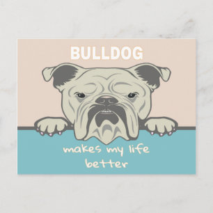 Funny English Bulldog Postcard
