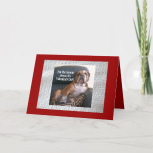 Funny English bulldog Valentine's Day Card